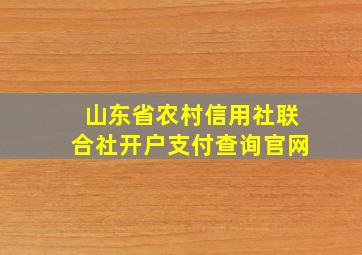 山东省农村信用社联合社开户支付查询官网