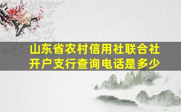 山东省农村信用社联合社开户支行查询电话是多少