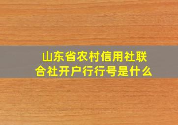 山东省农村信用社联合社开户行行号是什么