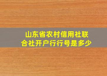 山东省农村信用社联合社开户行行号是多少