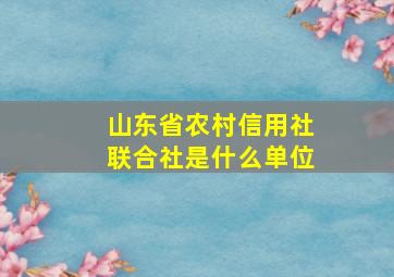 山东省农村信用社联合社是什么单位