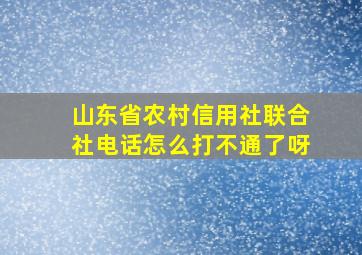 山东省农村信用社联合社电话怎么打不通了呀