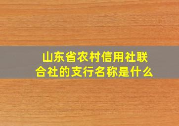 山东省农村信用社联合社的支行名称是什么