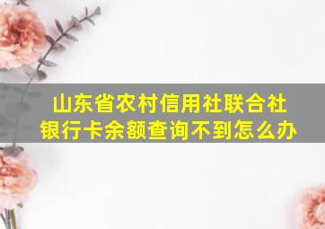 山东省农村信用社联合社银行卡余额查询不到怎么办