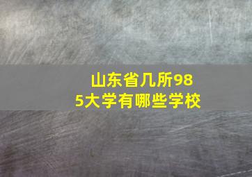 山东省几所985大学有哪些学校