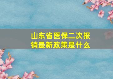 山东省医保二次报销最新政策是什么