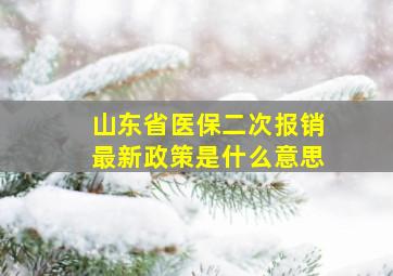 山东省医保二次报销最新政策是什么意思