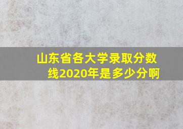 山东省各大学录取分数线2020年是多少分啊