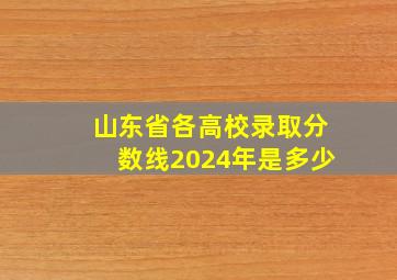 山东省各高校录取分数线2024年是多少