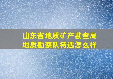 山东省地质矿产勘查局地质勘察队待遇怎么样