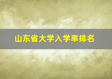 山东省大学入学率排名