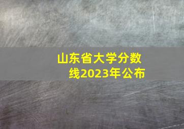 山东省大学分数线2023年公布