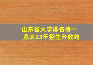 山东省大学排名榜一览表23年招生分数线