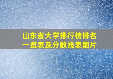 山东省大学排行榜排名一览表及分数线表图片