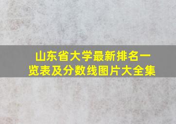 山东省大学最新排名一览表及分数线图片大全集