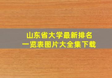 山东省大学最新排名一览表图片大全集下载