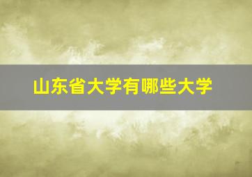 山东省大学有哪些大学