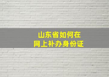 山东省如何在网上补办身份证