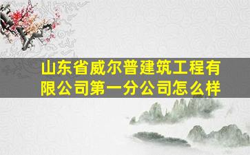 山东省威尔普建筑工程有限公司第一分公司怎么样