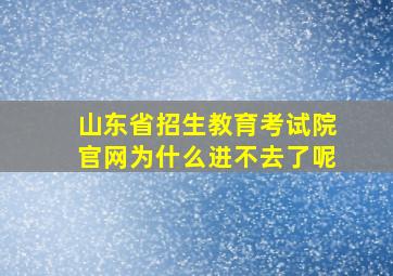 山东省招生教育考试院官网为什么进不去了呢