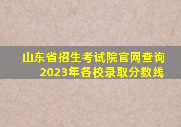 山东省招生考试院官网查询2023年各校录取分数线