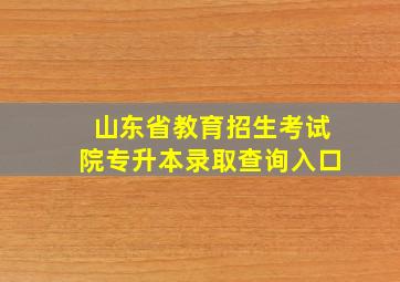 山东省教育招生考试院专升本录取查询入口