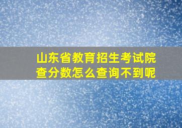 山东省教育招生考试院查分数怎么查询不到呢