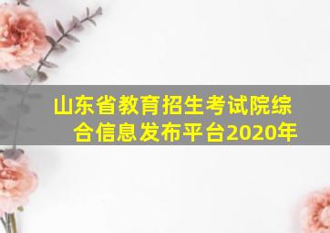 山东省教育招生考试院综合信息发布平台2020年