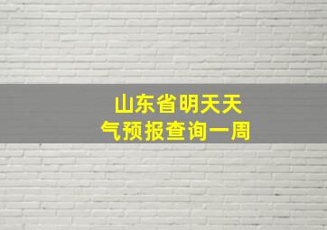 山东省明天天气预报查询一周