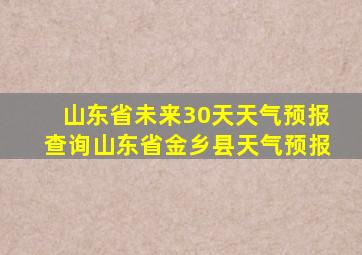 山东省未来30天天气预报查询山东省金乡县天气预报