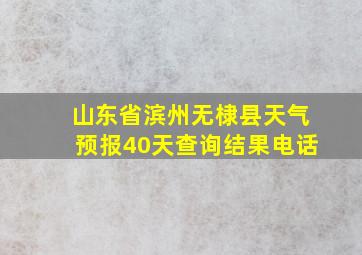 山东省滨州无棣县天气预报40天查询结果电话