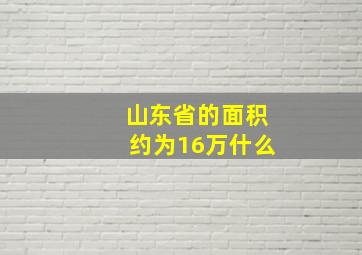 山东省的面积约为16万什么