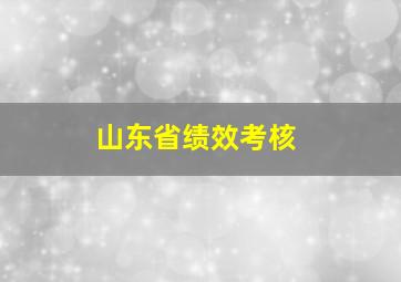 山东省绩效考核