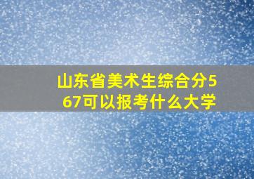 山东省美术生综合分567可以报考什么大学