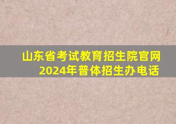 山东省考试教育招生院官网2024年普体招生办电话