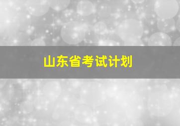 山东省考试计划