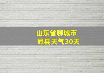 山东省聊城市冠县天气30天