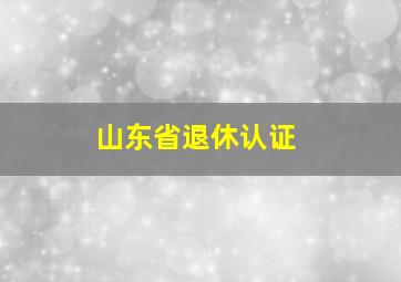 山东省退休认证