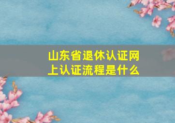 山东省退休认证网上认证流程是什么