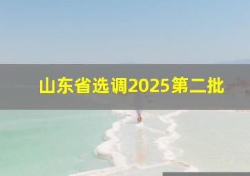 山东省选调2025第二批