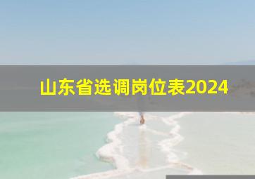 山东省选调岗位表2024