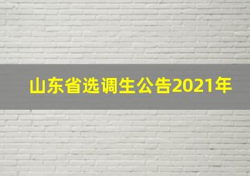 山东省选调生公告2021年