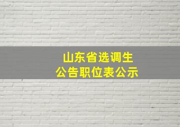 山东省选调生公告职位表公示