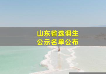 山东省选调生公示名单公布