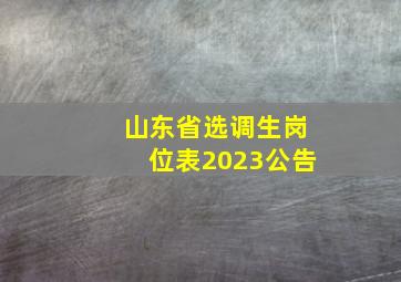 山东省选调生岗位表2023公告