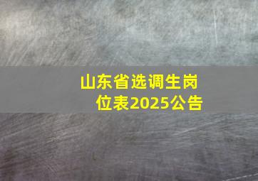 山东省选调生岗位表2025公告