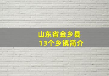 山东省金乡县13个乡镇简介