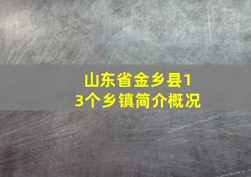 山东省金乡县13个乡镇简介概况