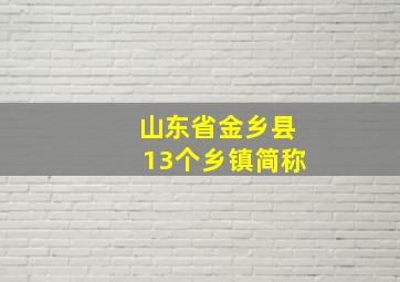 山东省金乡县13个乡镇简称