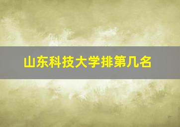 山东科技大学排第几名